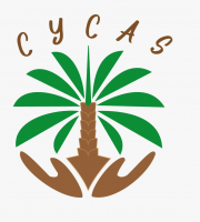 Cycas 
